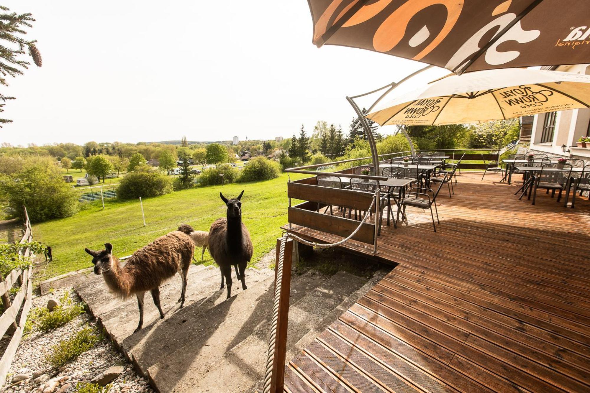 Hotel Rozkos Česká Skalice Extérieur photo